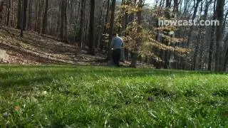 How to Water Your Grass