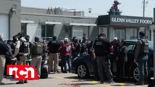 ICE Exposes E-Verify Loop Holes | Headline News