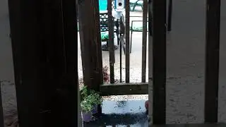 For Sale: Stripper pole