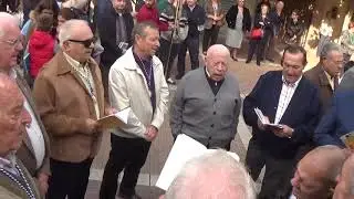 javalí nuevo 2019 JN