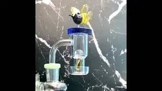 TerpVacum 14mm quartz banger w/ valve marble cap, color pill &