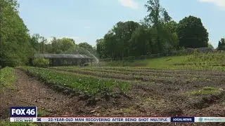 Push for more Urban Farms making headway in Charlotte metro