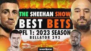 TOP 5 BETS - Bellator 293, PFL 1: 2023 Regular Season  | Betting Picks / Predictions / Tips
