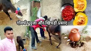 गोवर्धन पूजा cg village life cg festival  #cg village Vlog #cgvillage life vlog@Trilokeenath24
