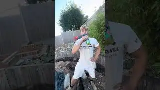 Digging again 