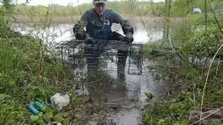 Beaver Live Traps | Best Beaver Live Catch Trap on the Market