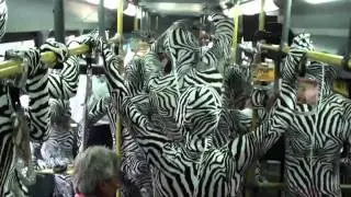 Zebra Day - M&eacute;xico SWATCH
