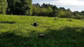 Eachine Racer 130 first test flight LOS