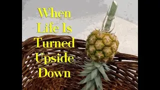 Pineapple Parable Part 2: God hears our cries | SundaySchoolNetwork.com