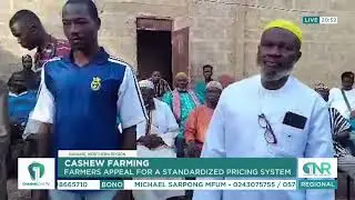 Cashew Farmers Call for Fair, Standardized Pricing Across Ghana &ndash; Here&rsquo;s Why It Matters