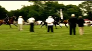 Light Cavalry Sword & Lance Charge