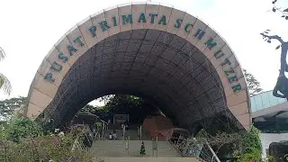 PART 2 | KELILING RUMAH ORANG UTAN |  PUSAT PRIMATA SCHMUTZER | RAGUNAN ZOO 2025 