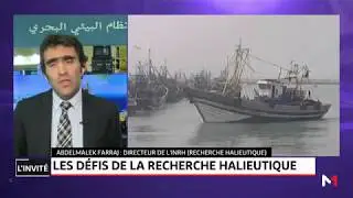 Abdelmalek Farraj, La ceinture bleue, une approche holistique