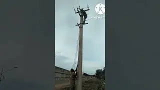 TNEB line changing work #electricity#board#