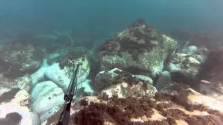 Pesca Submarina na ilha do Corvo, Açores