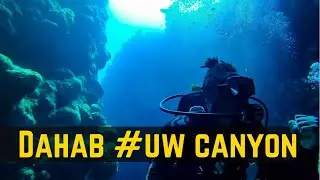 Underwater CANYON in Dahab, Egypt