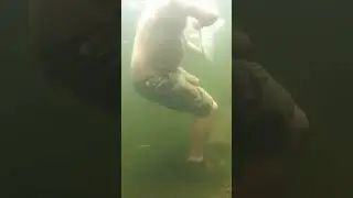 #scubadiving Underwater alligator prank! #scubadiving #scubadiver #scubadive #sc