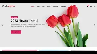 Creating a Stunning Landing Page with HTML, CSS, and JavaScript | Web Development Tutorial
