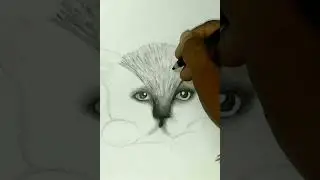cat drawing||#shorts #youtubeshorts #art #art lover🔥 #viral  #let'sdosomeuniqueart#easydrawing