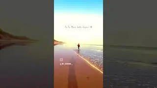 Toki Sei Nila Nayana Odia Status Video #shortvideo #lovestatus #4kstatus #copulsstatus #reelsvideos