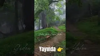 Sağım Yalan Solum Yalan ( Aİ Cover)#shorts #anadolurock #covermusic #t&uuml;rkrock #shortvideo