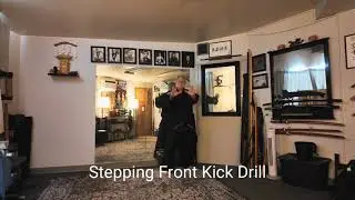 Stepping Snap Kick