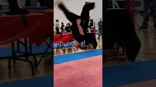 Martial artists in action 🔥