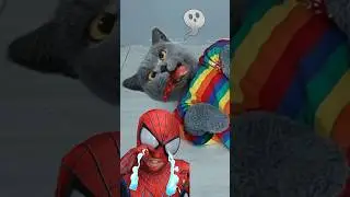 Ого!😭 Кошачья хитрость: полностью испуганный Человек-паук🩸 #смешнойкот #розыгрыш #смешныемемы #тренд