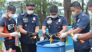 MAHIGIT ISANG LIBO NA NAKUMPISKANG ILLEGAL NA PAPUTOK AT PYROTECHNICS DEVICE SINIRA NG BENGUET PPO  