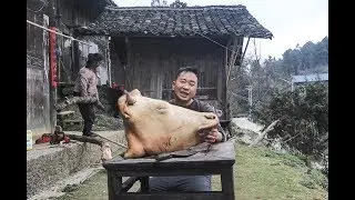 玉平招待美女真豪气，36斤的牛头炖一大锅，吃了要让美女做老婆