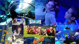 CHESSINGTON WORLD | SEALIFE | PENGUINS | DEERS | FAMILY ADVENTURE | AMUSEMENT THEME PARK