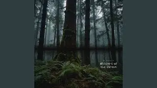 Whispers of the forest