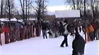 Coughtry Racing Kennel at the Knik-200 2003