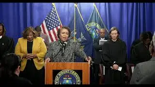 Swearing-In Ceremony for Judge Danielle Browne