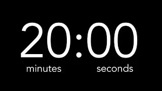 20 Minute Countdown Timer