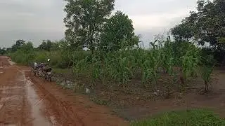 Le 1/2/2026 SAISON A POUR L' AGRICULTURE 10 HECTATDS ET UNE PARCELLE DE 50M/50 AVENDRE Vilge MOMBELE
