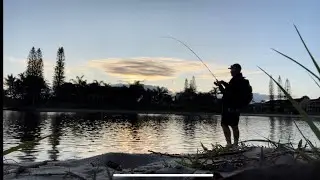 Gold Coast Fishing - Chasing Giant Trevally and Brassy Trevally.
