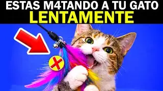 TOP 5 JUGUETES que estresan a tu GATO sin que lo notes (el 99% de los dueños los compra)