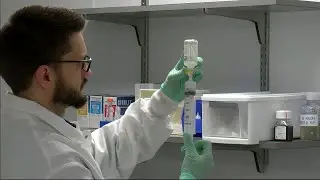 Investigation into new treatment for stroke underway at University of Miami