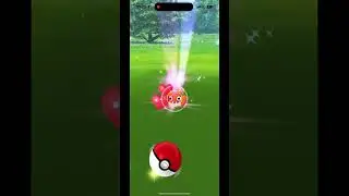 Shiny Paras (Have little difference from normal one) #pokemongo #shiny #pokemon