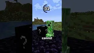 Guess the block in 60 seconds #minecraft