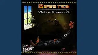 B.O.O.S.T.E.R.