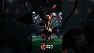 QUAL O SEU PALPITE PRA O JOGO #FLAMENGO X #CORINTHIANS #SUPERCOPADOBRASIL