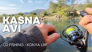 KASNA (AKBALIK) AVI - @lutfidogann2243 @lrfkonya KEYİFLİ BOL SOHBETLİ AVIMIZ SİZLERLE
