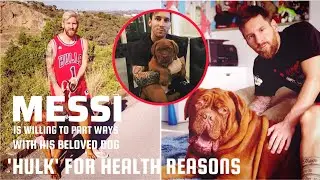 Messi in Florida is Willing to Part with His Beloved Dog 'Hulk' in Barcelona for Health Reasons