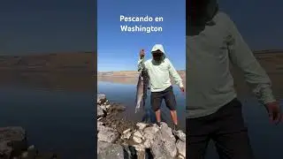 Estado De Washington