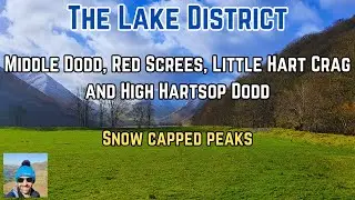 Middle Dodd, Red Screes, Little Hart Crag and High Hartsop Dodd Circular | Lake District Walks