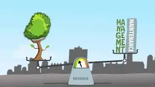 Intro to i-Tree: Value of a tree?