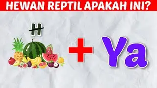 TEKA TEKI TABAK NAMA HEWAN REPTIL: KALIAN BENAR BERAPA POIN?