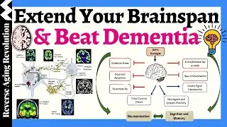 Enhance Your Brain Health & PREVENT Dementia - NEW Research & Strategies